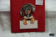 Doberman Puppy